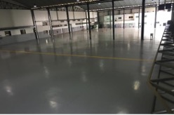 BESTFLY Hangar – Epoxy